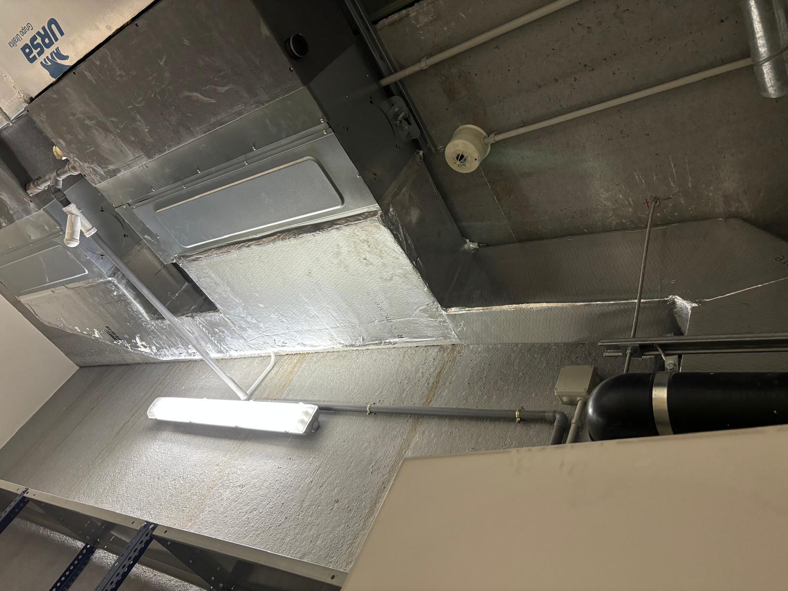 WhatsApp Image 2025-01-27 at 11.53.30