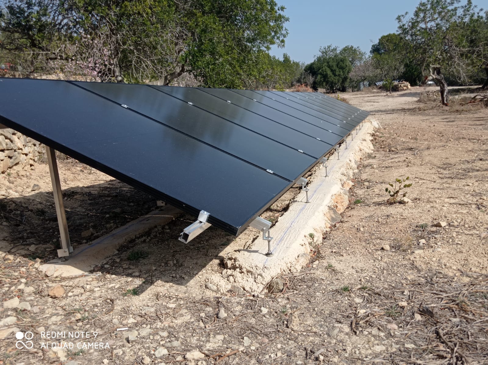 WhatsApp Image 2025-01-30 at 23.04.35