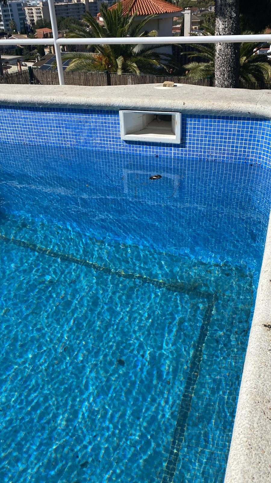 WhatsApp Image 2025-01-30 at 23.58.41